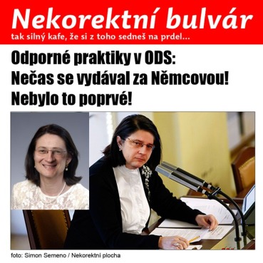 BULVAR_nemcova_necas