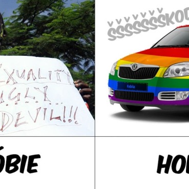 HOMOFABIE