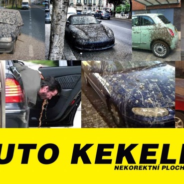 auto_kekelly