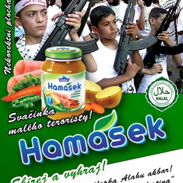 A6_hamanek_2010_print.cdr