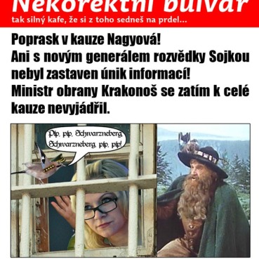 nagyova_sojka