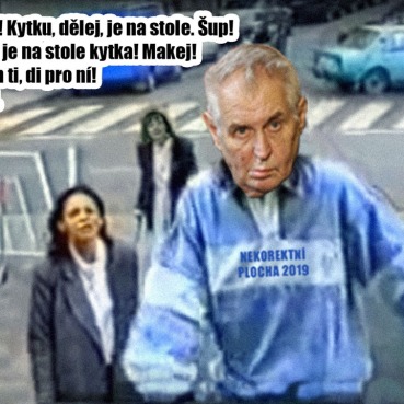 zeman_kytka